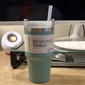 Stanley Quencher Tumbler in Sage Green with White Lid